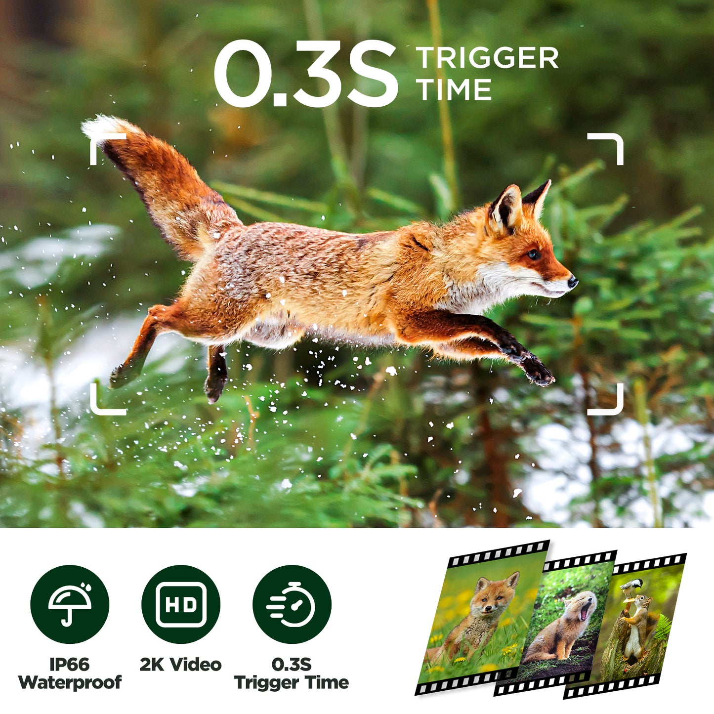 TOGUARD トレイルカメラ 2K 36MP ゲーム鹿カメラ 850nm ナイトビジョン IP66 防水 モーションアクティベート 120° 広角 トレイルカメラ 狩猟 屋外 野生動物監視 ホームセキュリティ 2.0 インチ LCD
