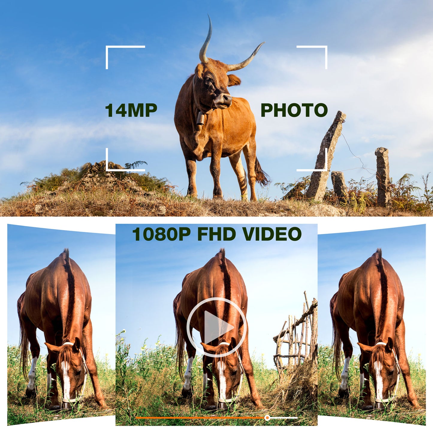 TOGUARD Mini Trail Camera 14MP 1080P Waterproof Wildlife Game Camera with Night Vision Fast Trigger Motion Activated, Hunting Camera with 110°Wide-Angle for Wildlife Bird Deer