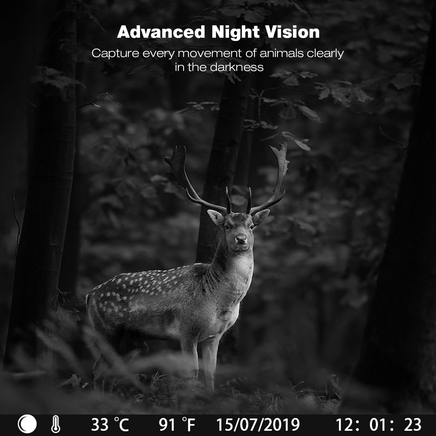 CAMPARK トレイルカメラ スカウティング 鹿狩り ゲームカメラ ナイトビジョン 防水 2.4インチ LCD 16MP IR LED FHD 隠し 3赤外線センサー 野生動物監視用トレイルカメラ