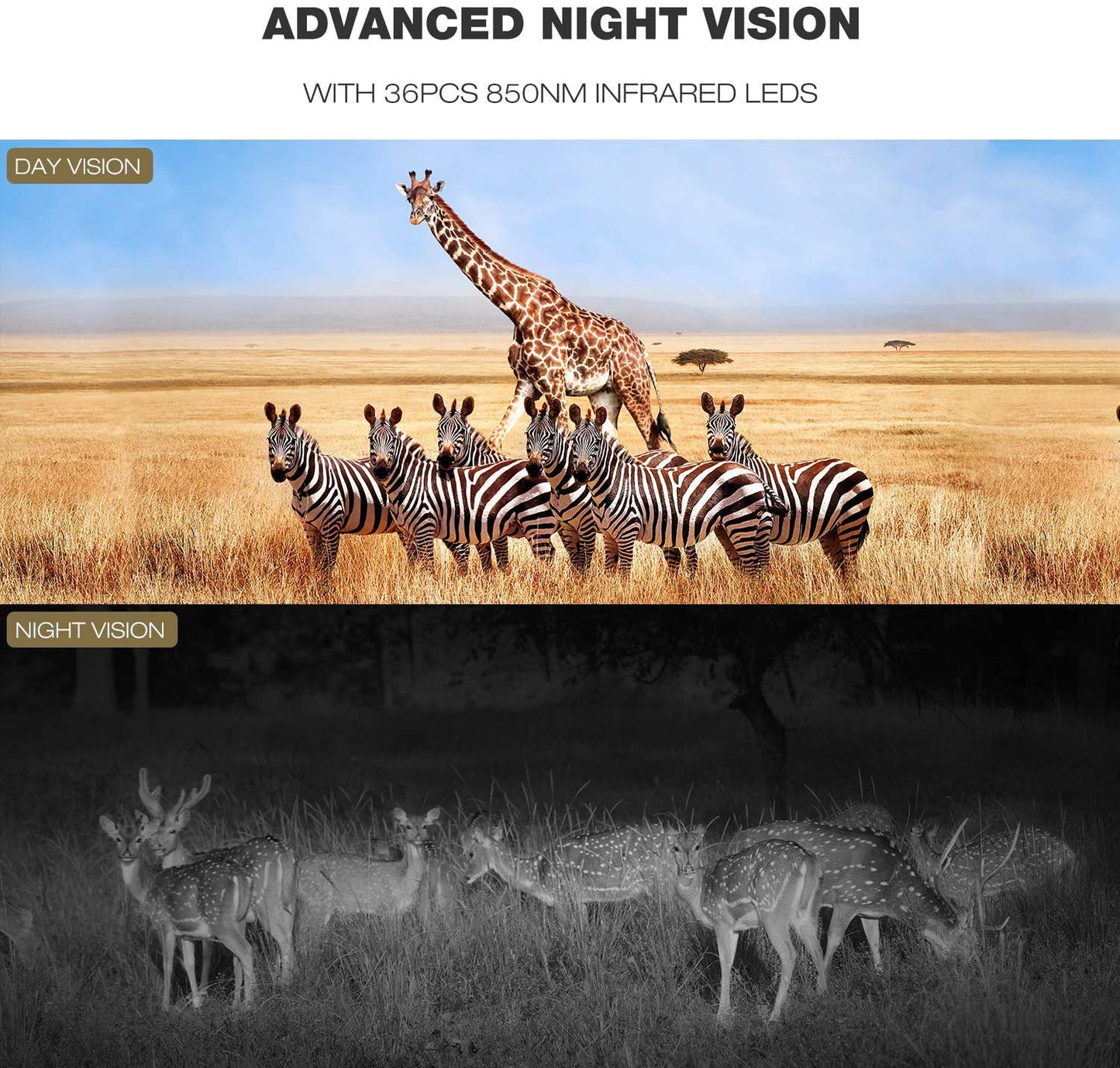 Toguard H100 4K WiFi トレイルカメラ Bluetooth 30MP IR LED ナイトビジョン ゲームカメラ付き