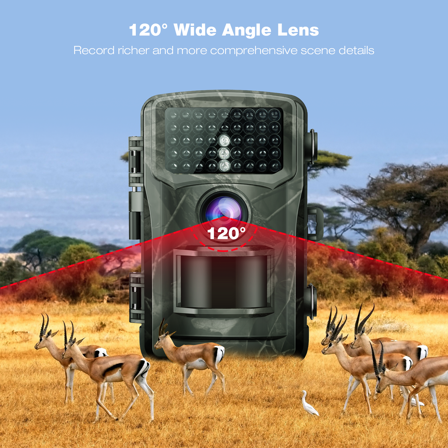 TOGUARD Trail Camera 4K Hunting Game Camera Wildlife Monitoring Cam 20MP Night Vision Waterproof TFT
