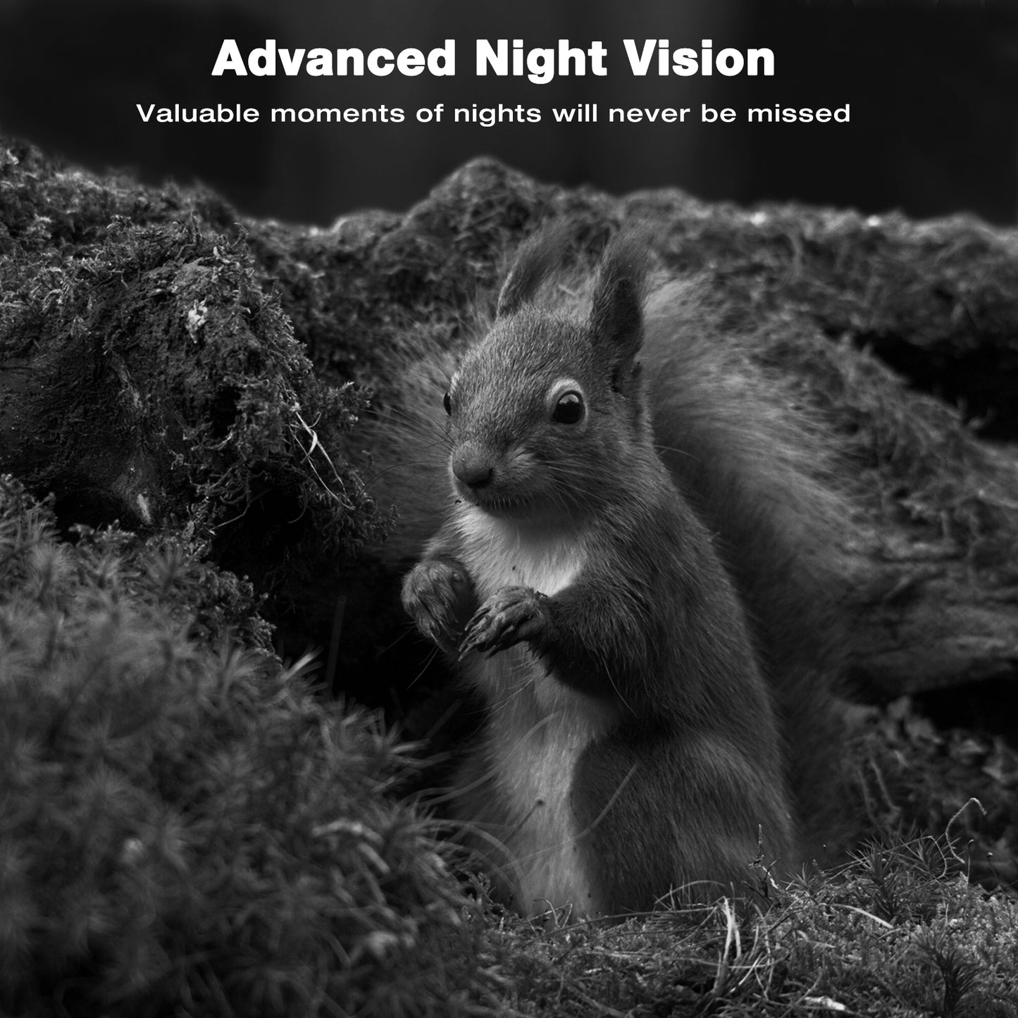 TOGUARD Wifi Trail Camera 4K Bluetooth Deer Hunting Game Cam 24MP Night Vision 0.2S Trigger Wildlife Cam Waterproof Trail Camera