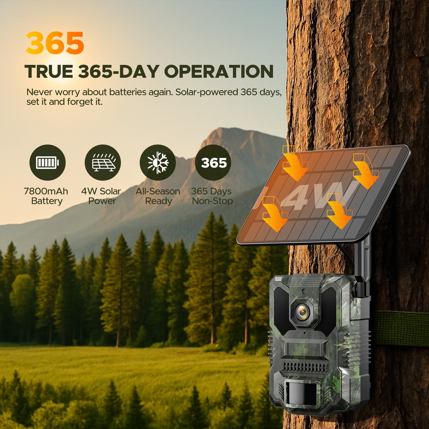 Caméra de chasse solaire CAMPARK 48 MP 4K avec vision nocturne, détection de mouvement, étanche IP66, enregistrement en boucle, temps de déclenchement de 0,1 s, batterie intégrée de 2 000 mAh
